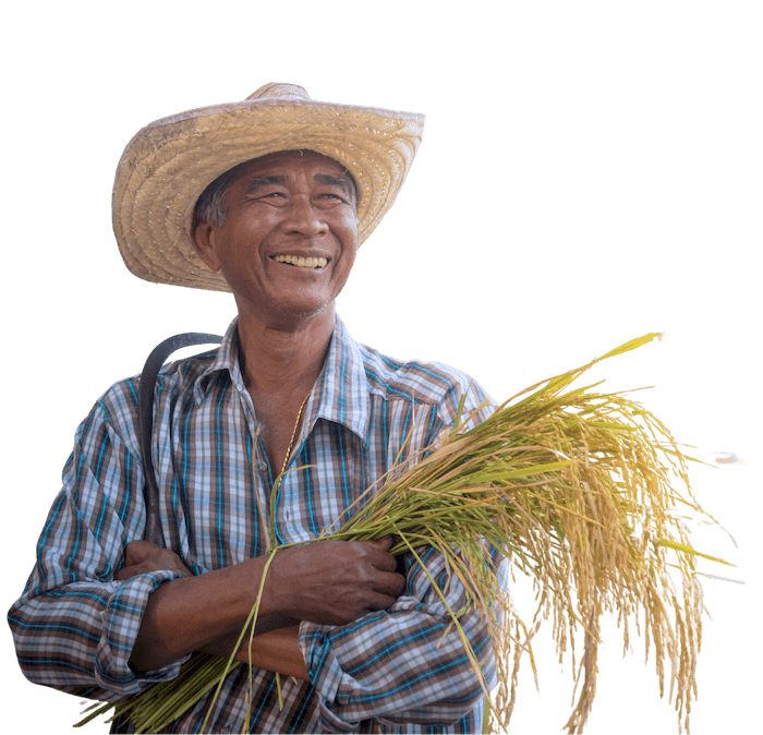 weather index insurance banner